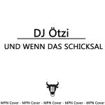 18-04-2013 - reinhard_meynen - dj-oetzi - cover.jpg
